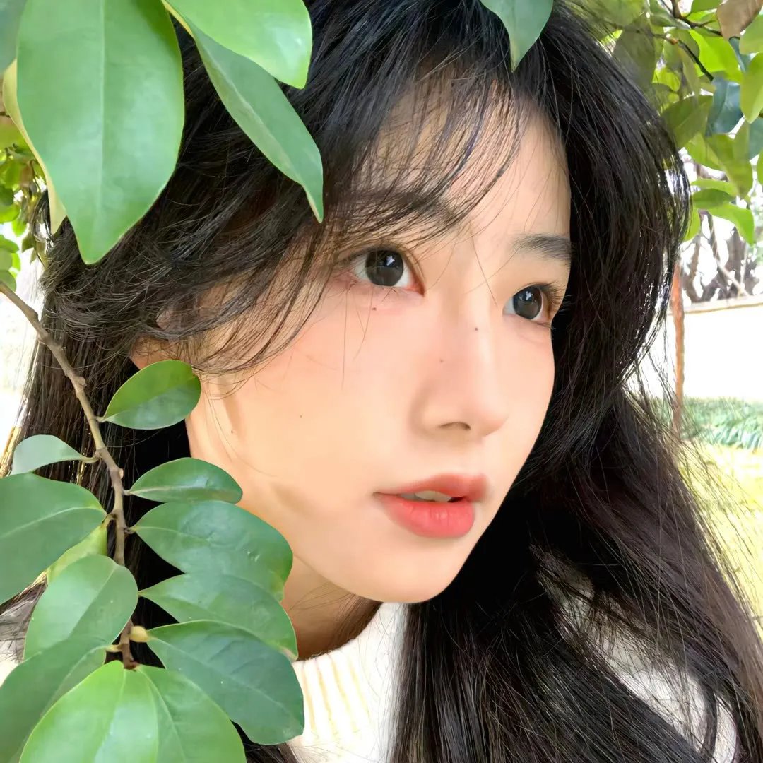好莱坞芭比电影版